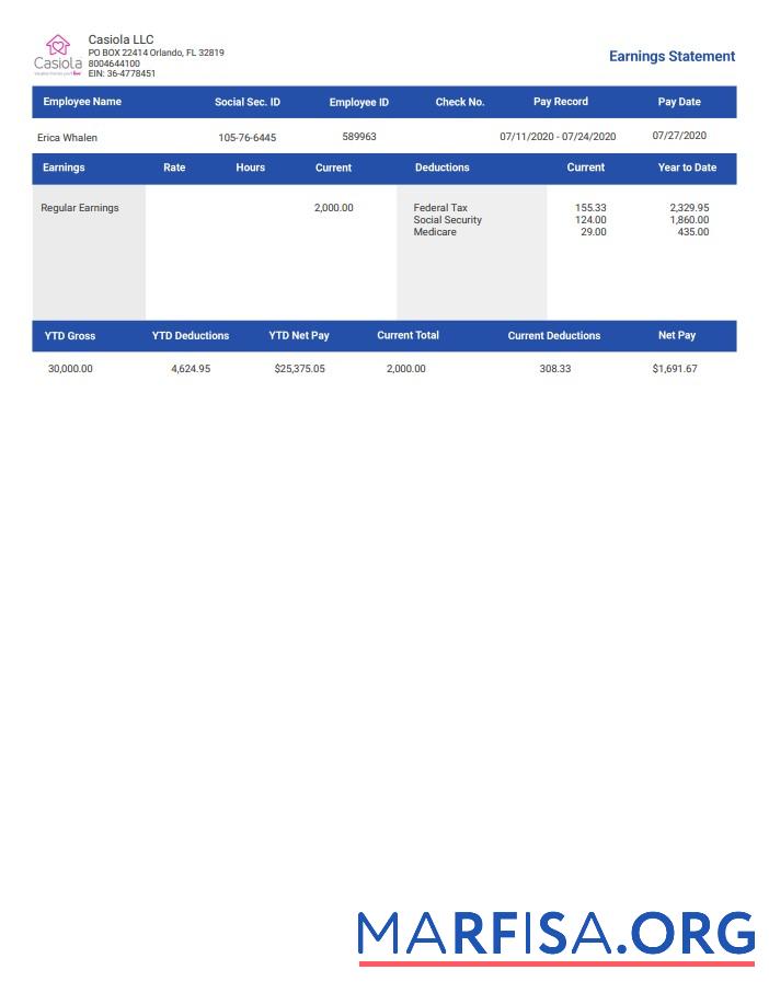 Printable Casiola llc earnings Employee Paystub template